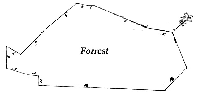 Surveyor's plat of Forrest, Kent County, Maryland, Certificate No.197