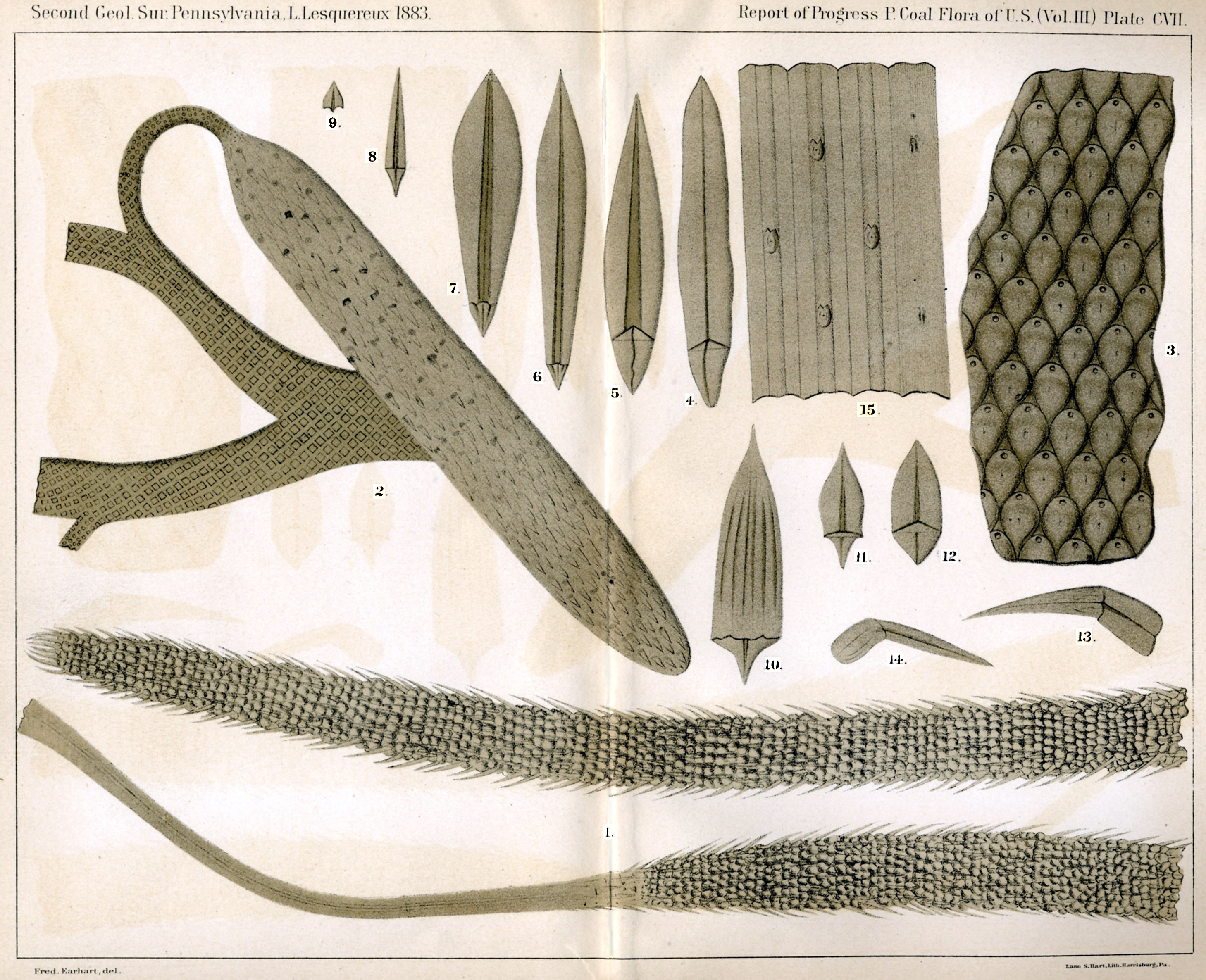 Leo Lesquerex - V.III, Plate 107