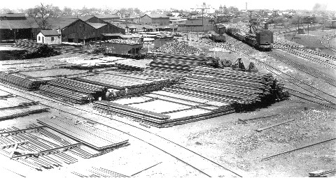 Yard - viewed from the southeast