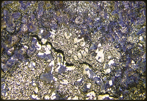 Meehanite casting at 200X etched