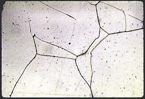 Austenitic stainless steel at 500X etched electrolytically