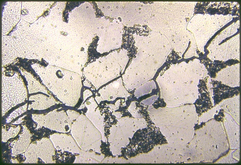 Caustic embrittlement at 500X etched
