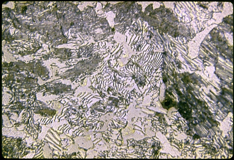 Pearlite in a spheroidized tool steel at 500X etched