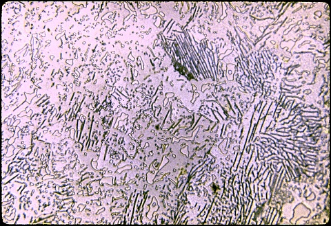 Normal microstructure in a spheroidized tool steel at 500X etched