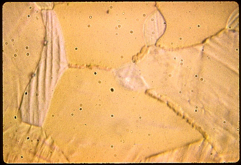 Beryllium copper at 1000X