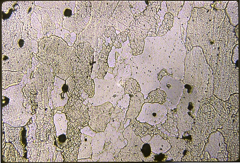 Unknown No. 445 at 500X etched