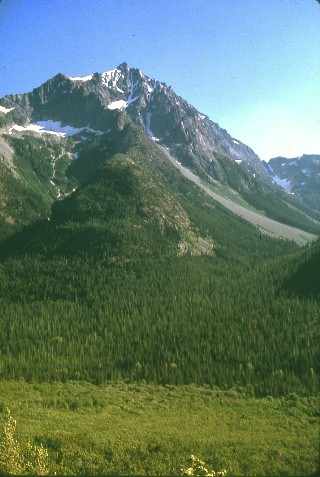 Bonanza Peak from above Holden Lake