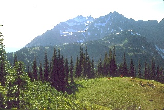 View from Cloudy Pass September 1968
