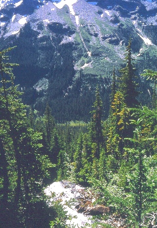 Suiattle River from Miners Ridge September 1968