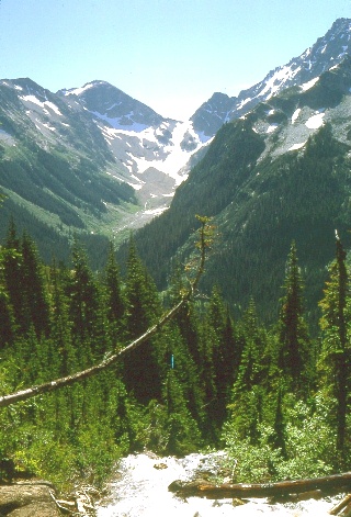 Brook crossing along Miners Ridge September 1968