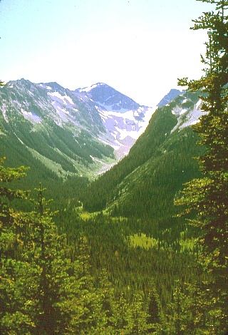 View from Miers Ridge September 1968