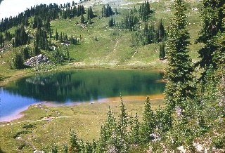 Image Lake along the Miners Ridge trail September 1968
