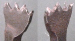 Business end; two views